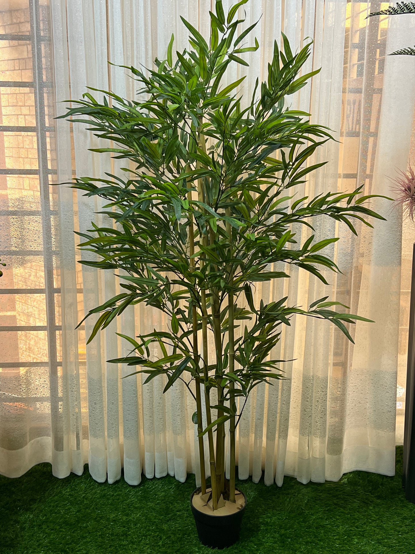 Bamboo tree