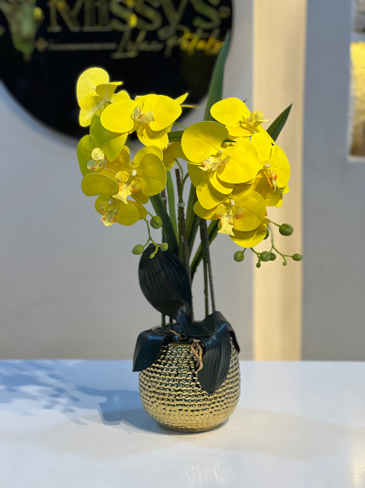 Orchid 9