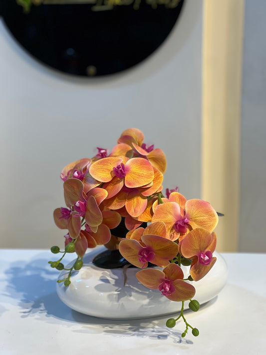 Orchid 10