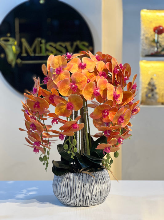 Orchid 4
