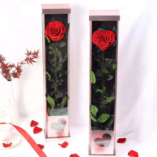 One rose special