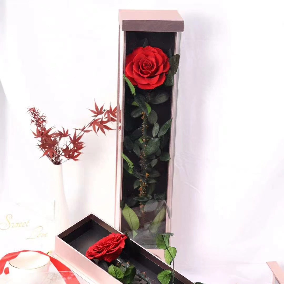 One rose special