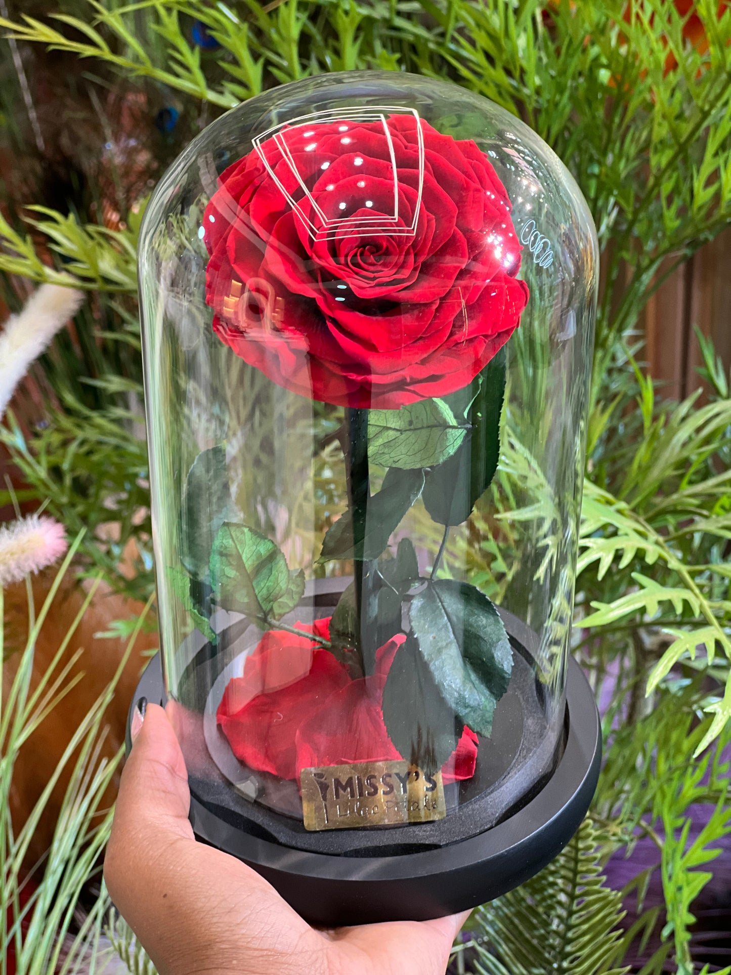 Luxury infinity One Rose