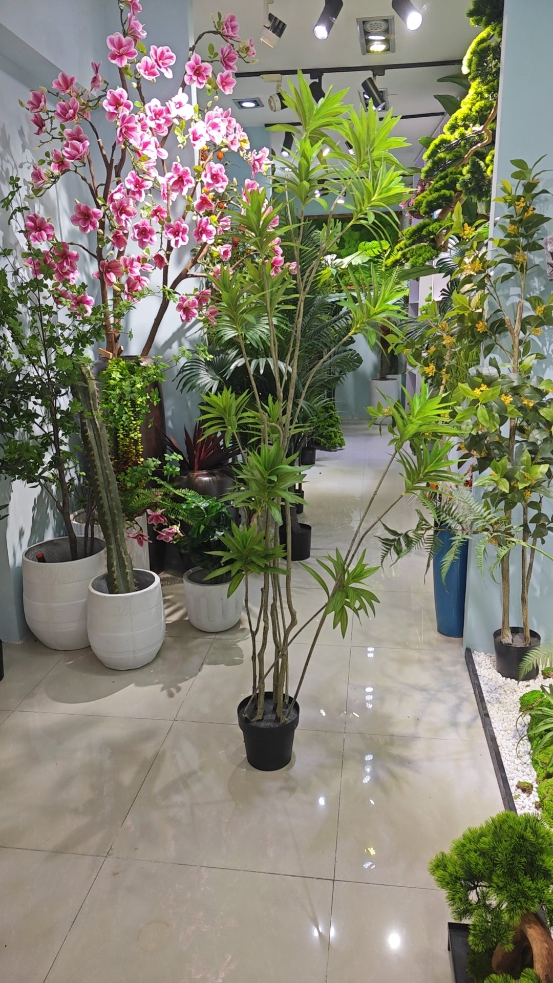 Baihe bamboo
