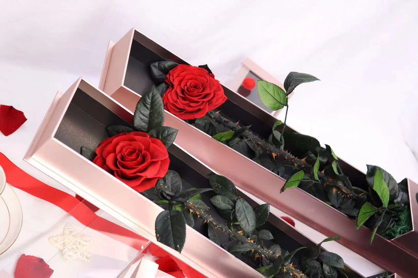 One rose special