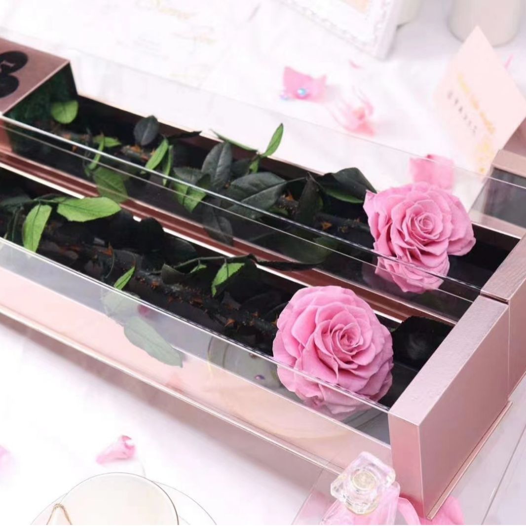 Pink one rose infinity