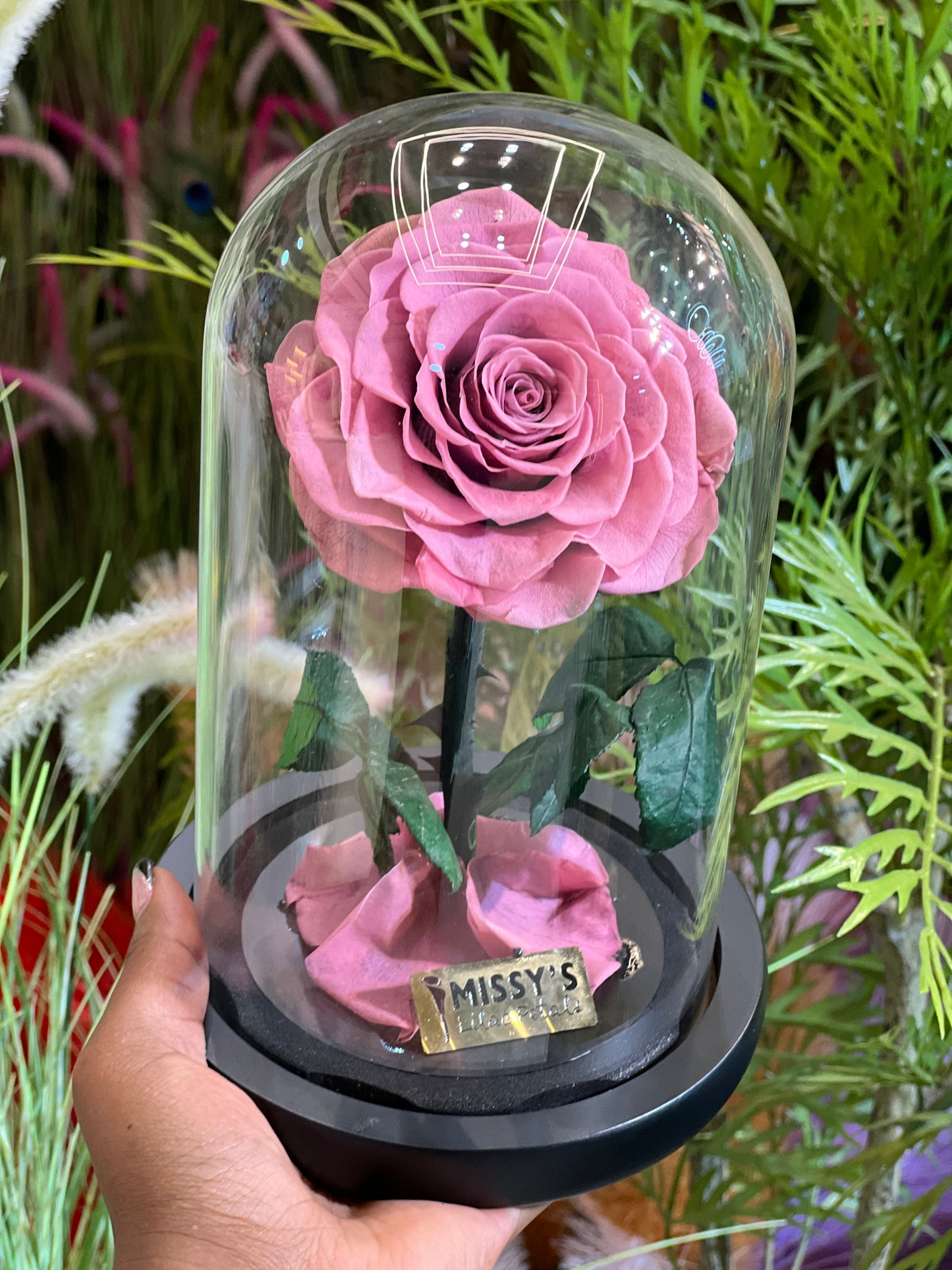 Luxury infinity One Rose