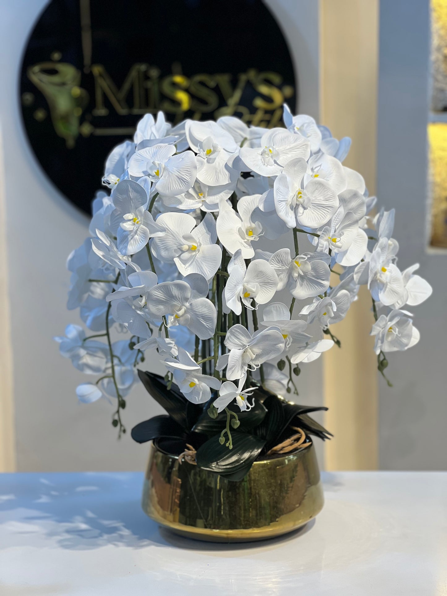 Orchid 5