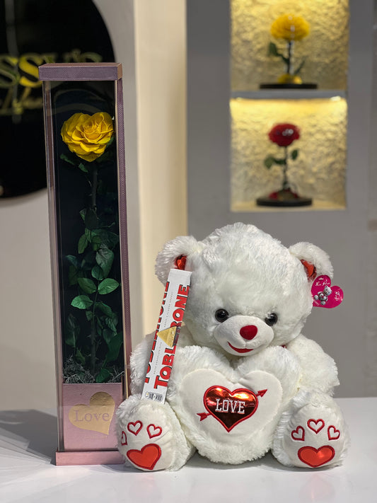 Teddy rose 🌹