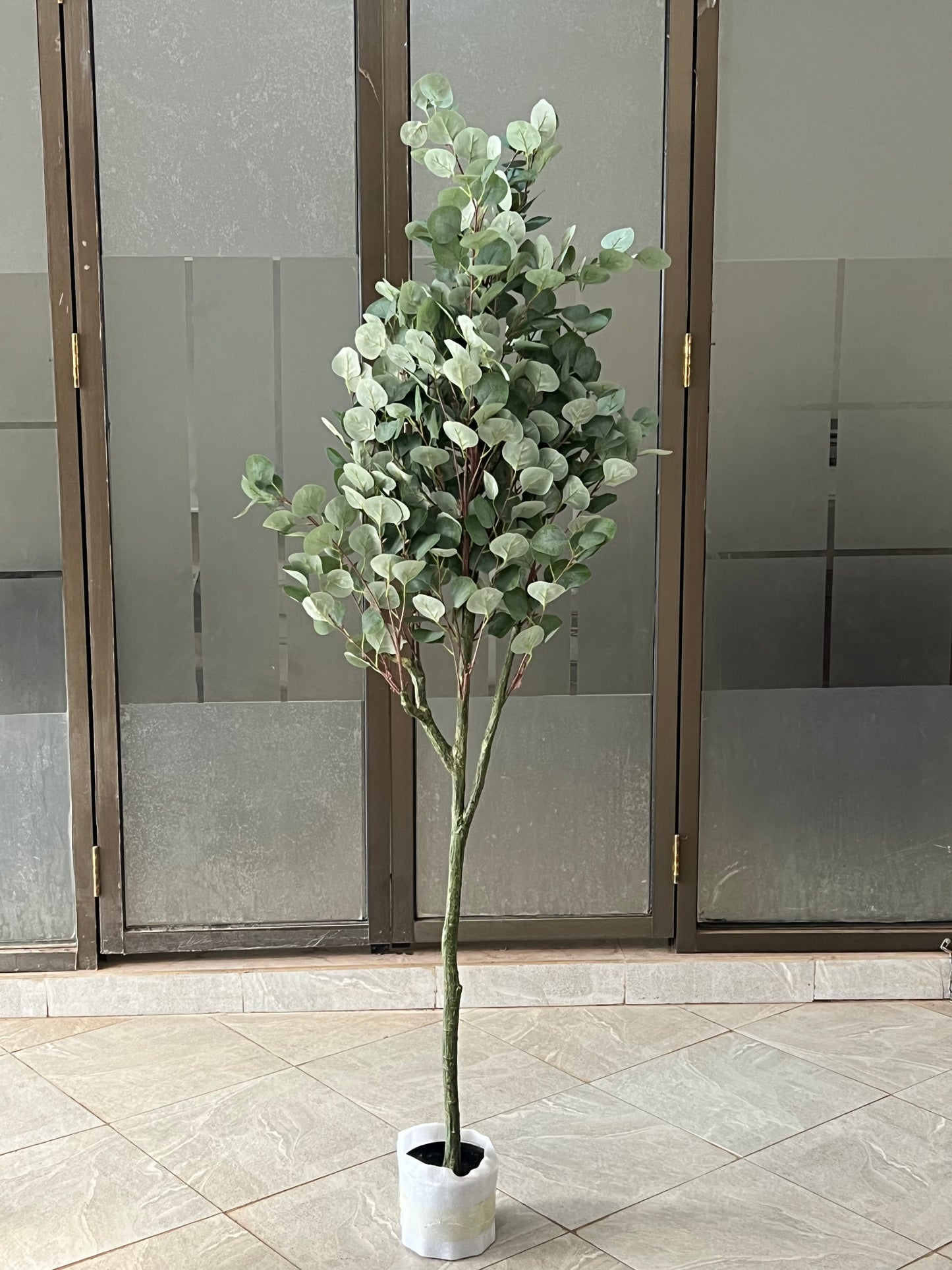 Green Eucalyptus 180cm