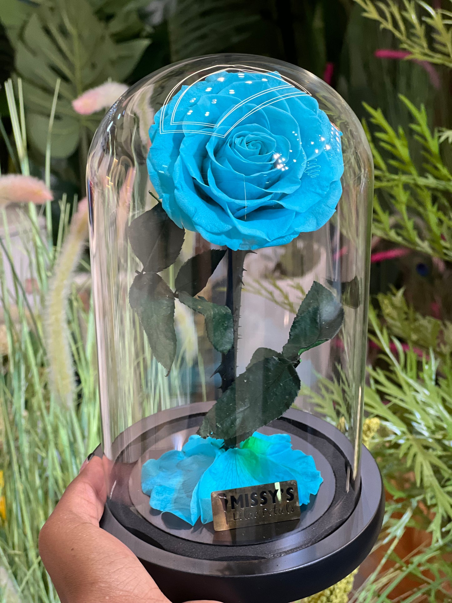 Luxury infinity One Rose