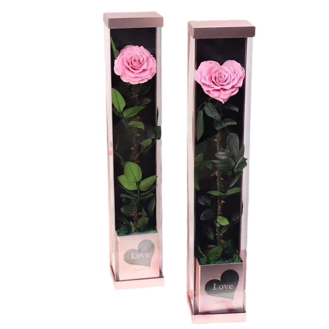 Pink one rose infinity