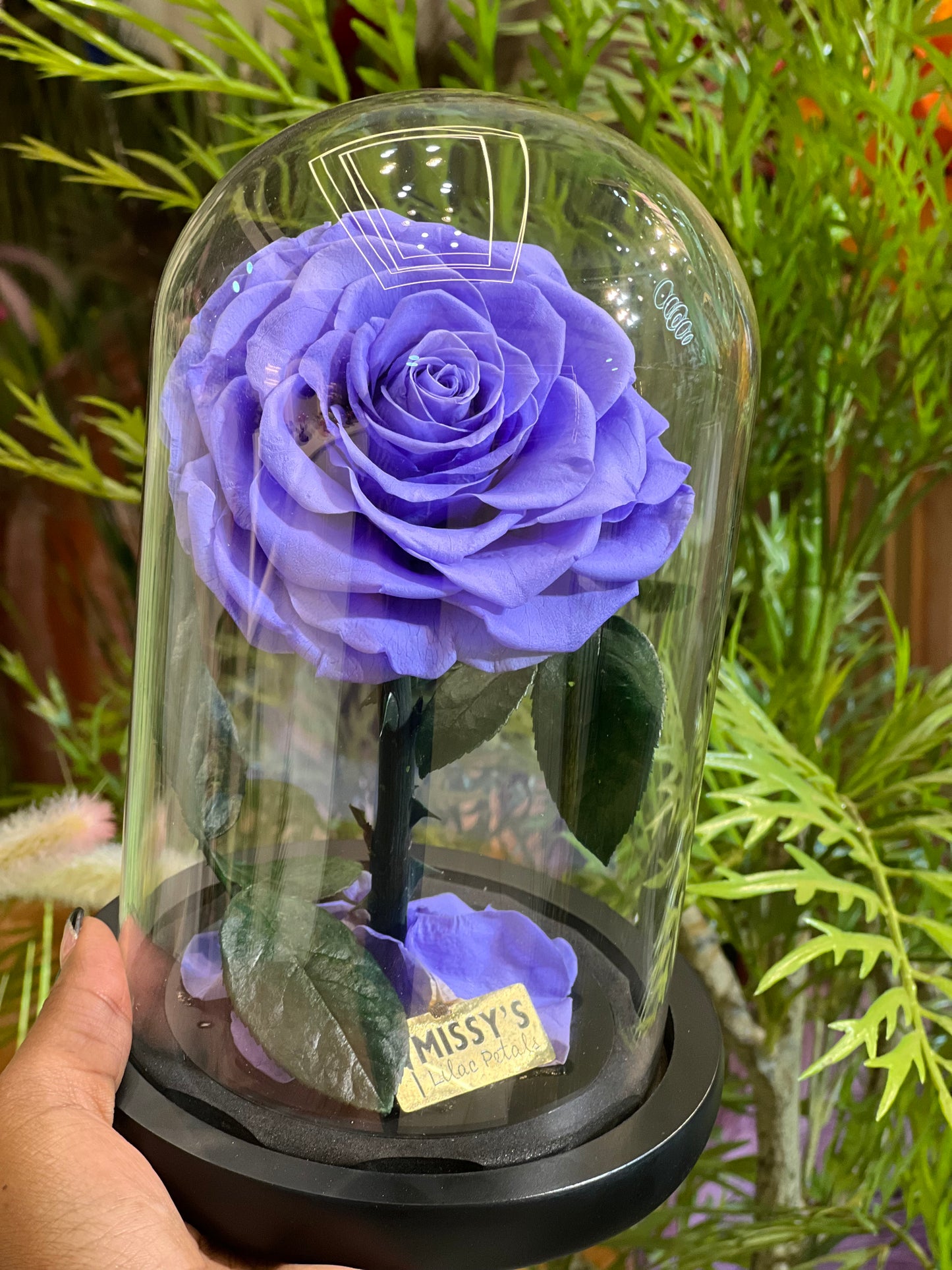 Luxury infinity One Rose