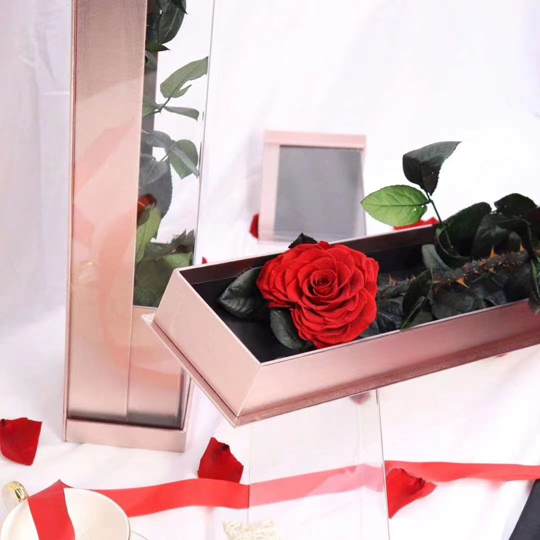 One rose special