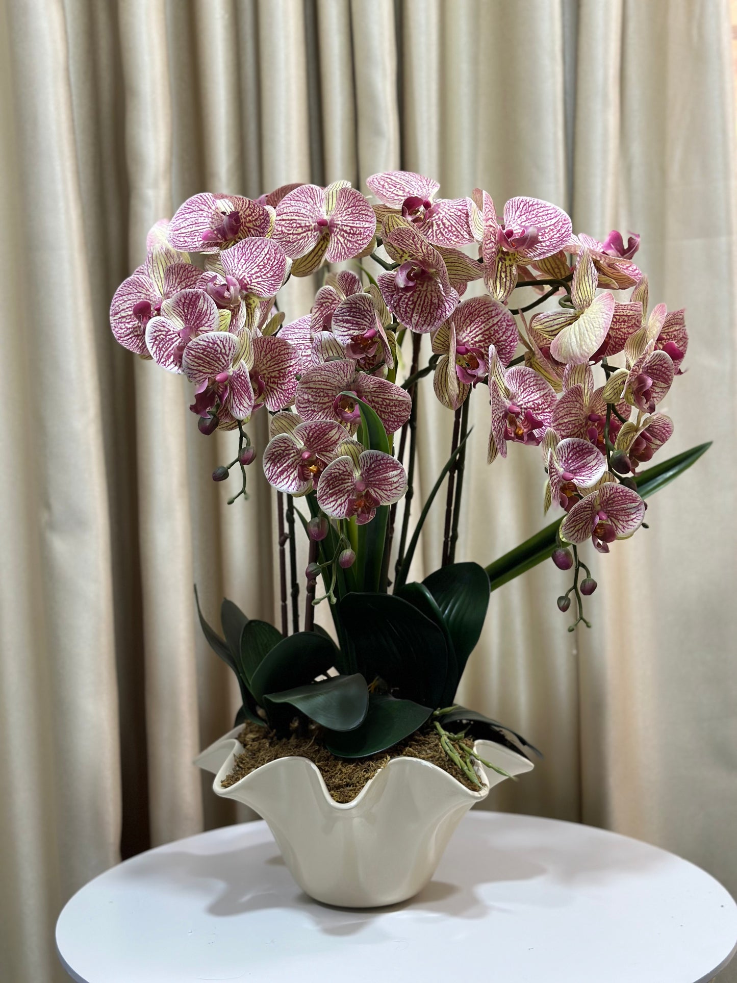 Orchid purple