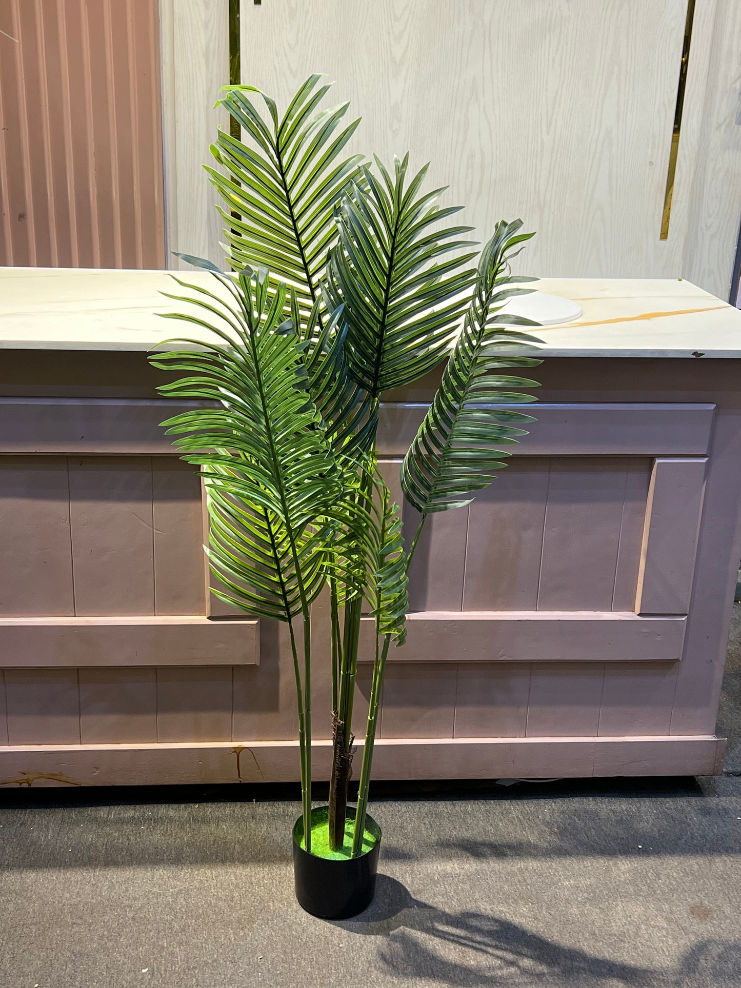Palm tree 1.8 meters