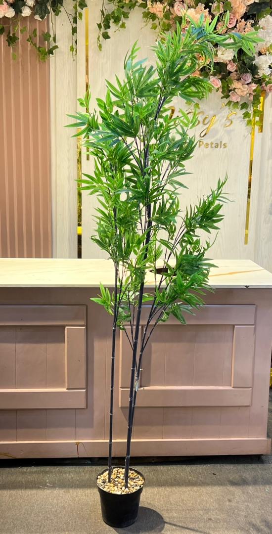 Bamboo mosso
