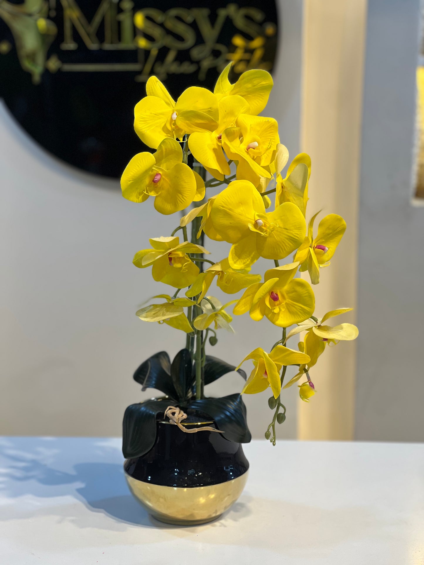 Orchid 8