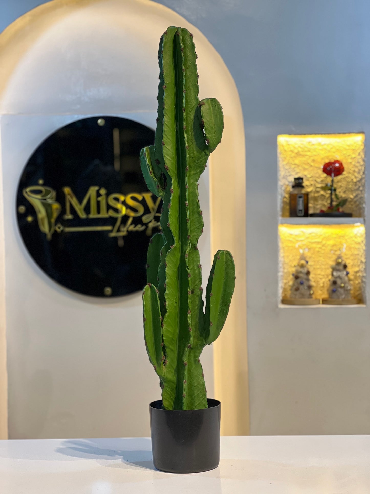 Cactus plant
