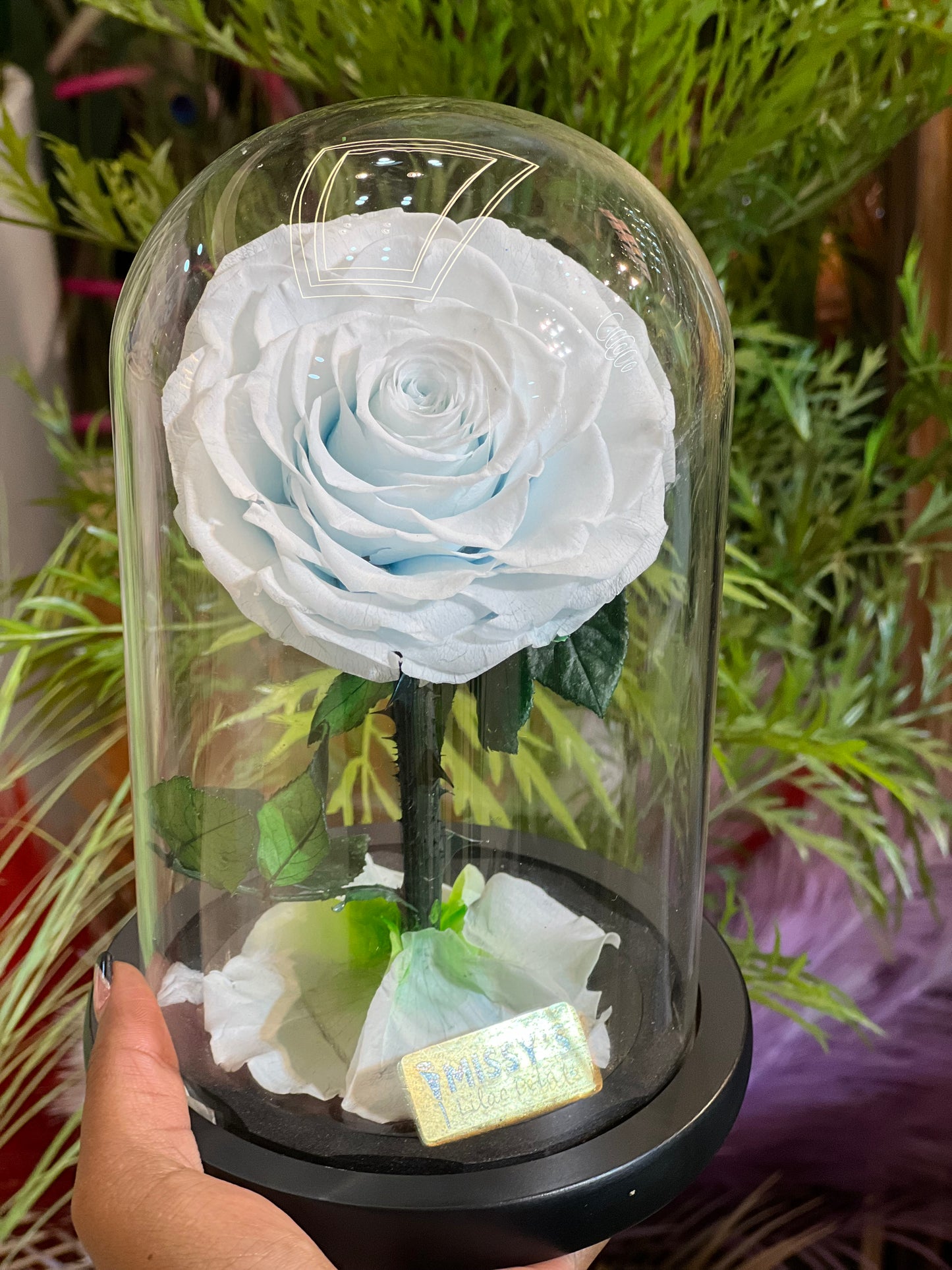 Luxury infinity One Rose