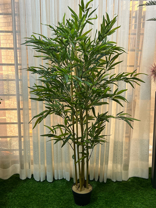 Bamboo tree