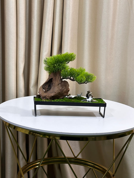 Table bonsai small