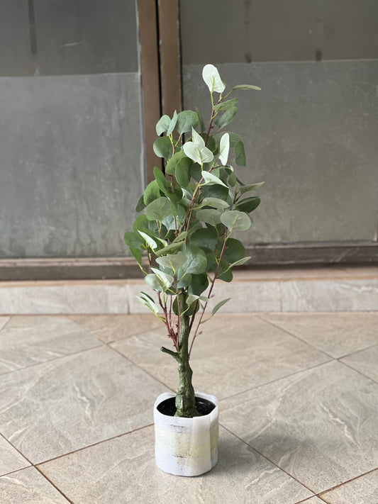 Green eucalyptus 60cm