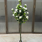 Rosa iceberg tree 150cm