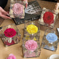 Rose Treasure Infinity Rose
