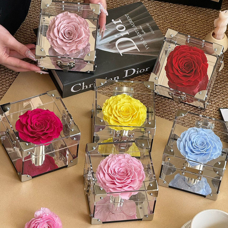Rose Treasure Infinity Rose