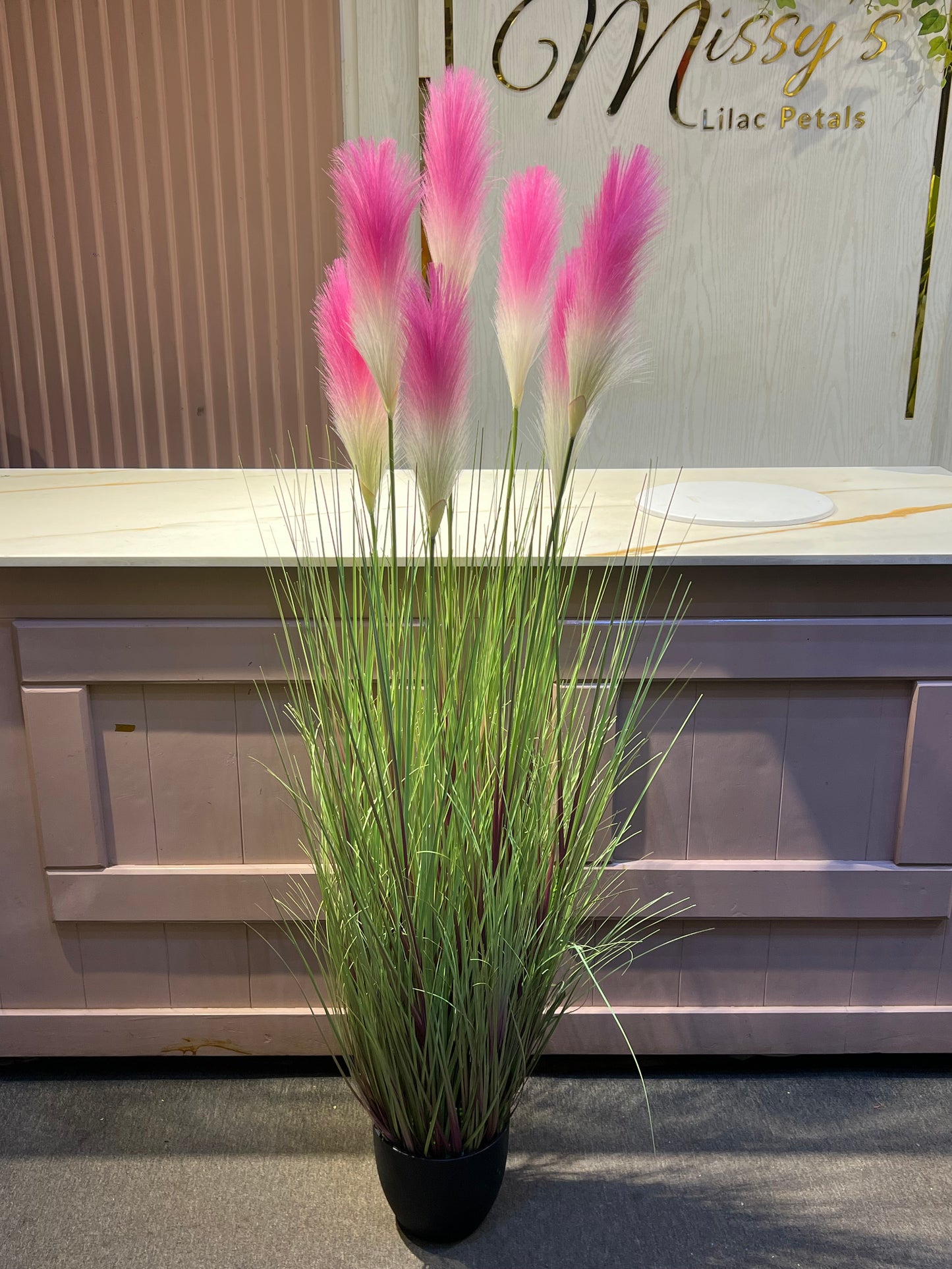 Pampas grass pink