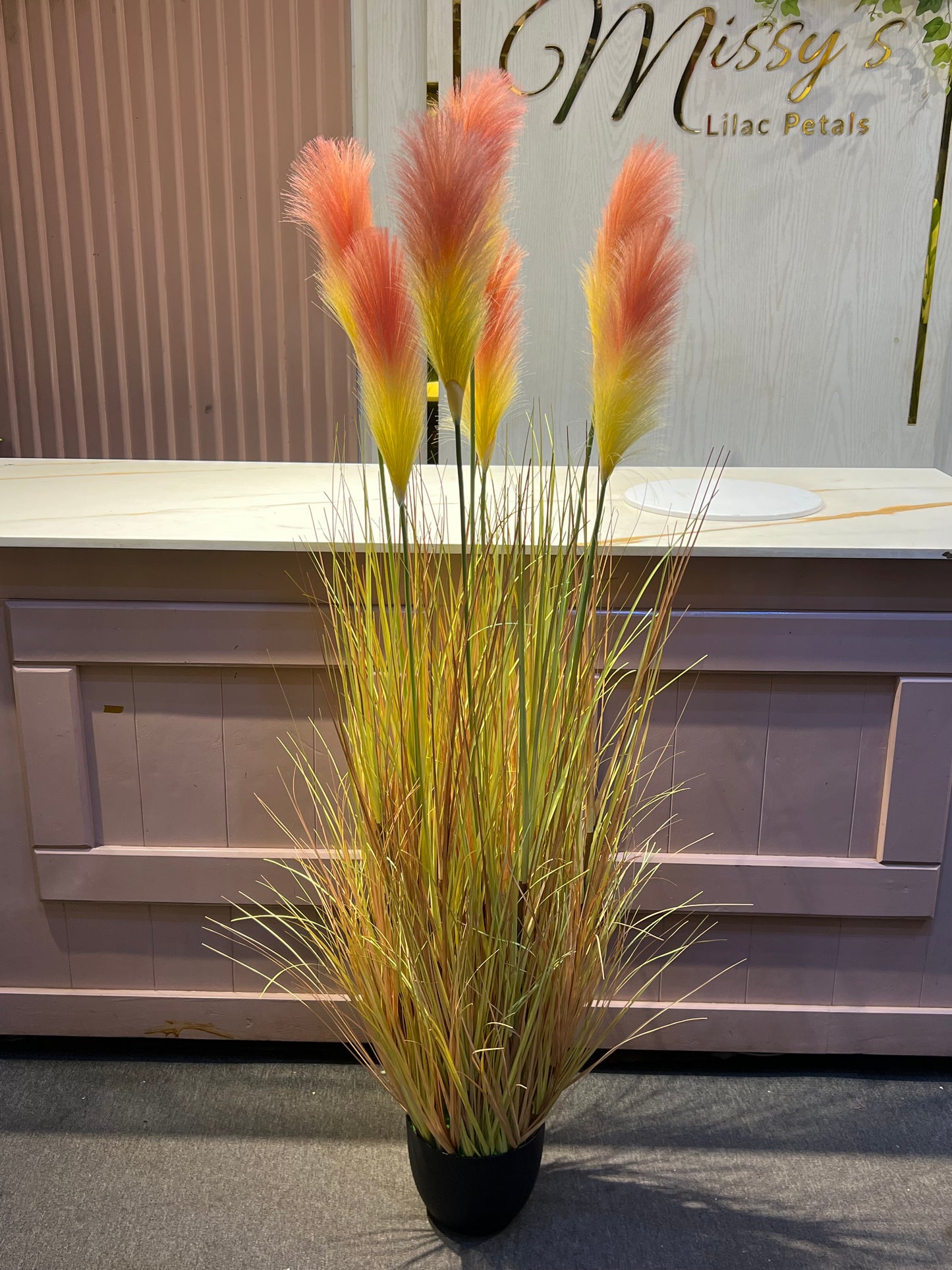 Pampas grass burnt orange