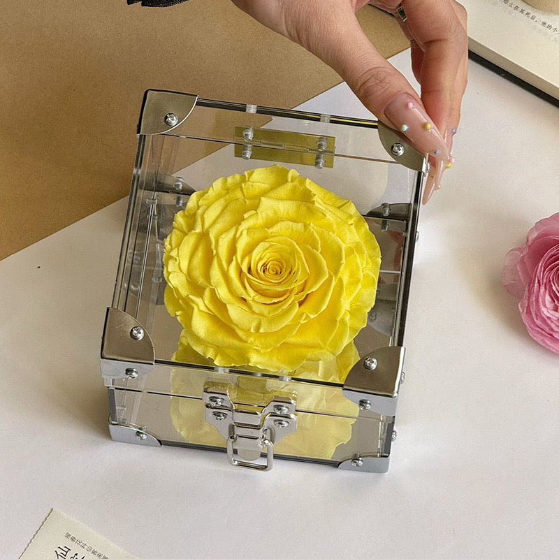 Rose Treasure Infinity Rose