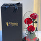 Infinity rose 3 rose