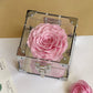 Rose Treasure Infinity Rose