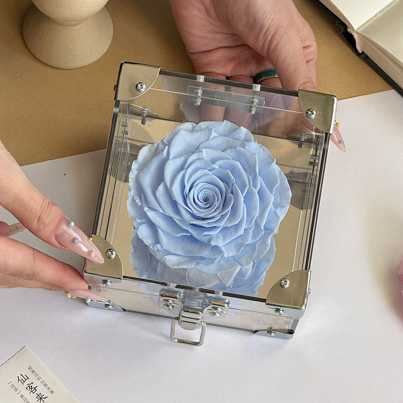 Rose Treasure Infinity Rose