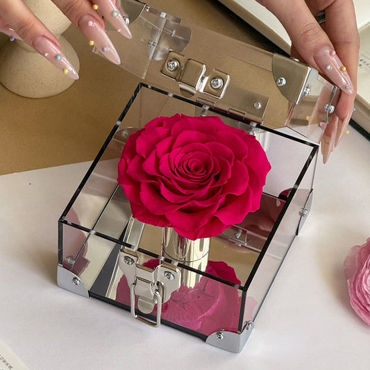 Rose Treasure Infinity Rose