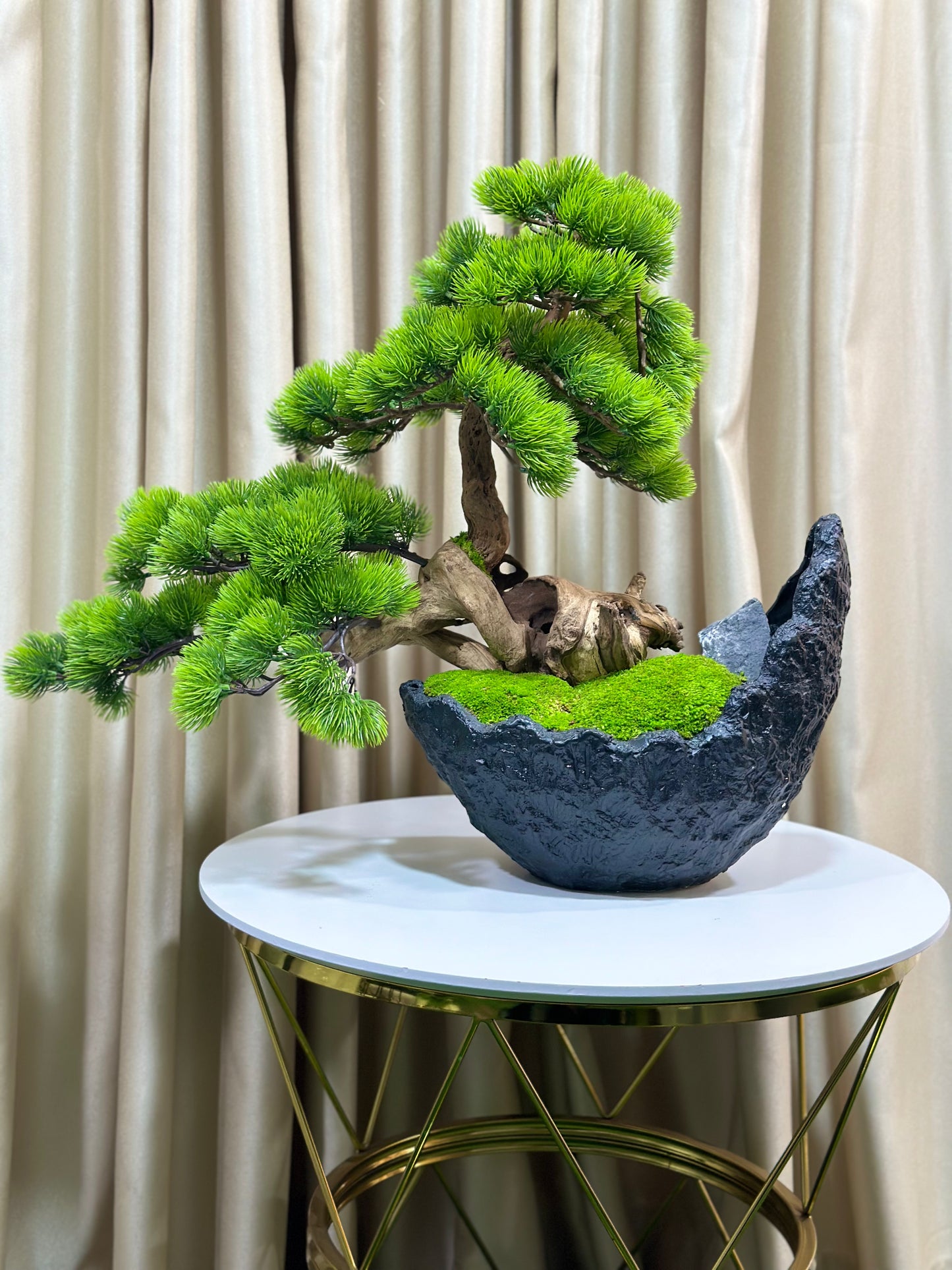 Great lobby bonsai