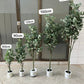 Green eucalyptus 90cm