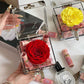 Rose Treasure Infinity Rose