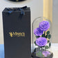 Infinity rose 3 rose