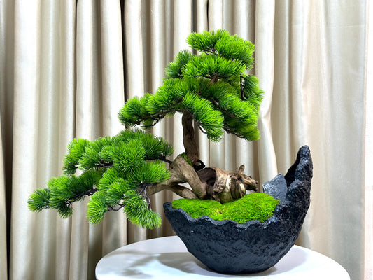 Great lobby bonsai