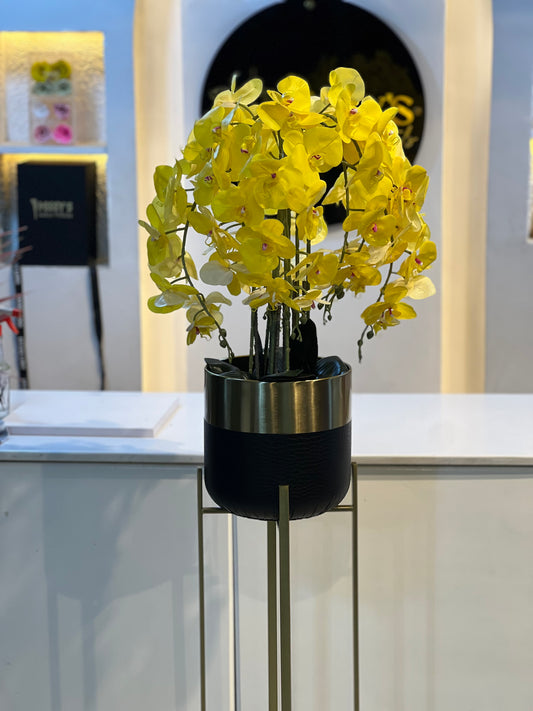 Orchid 17 with vase stand