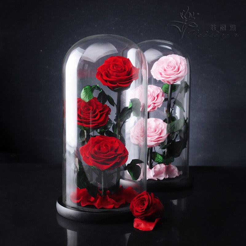 Infinity three rose
