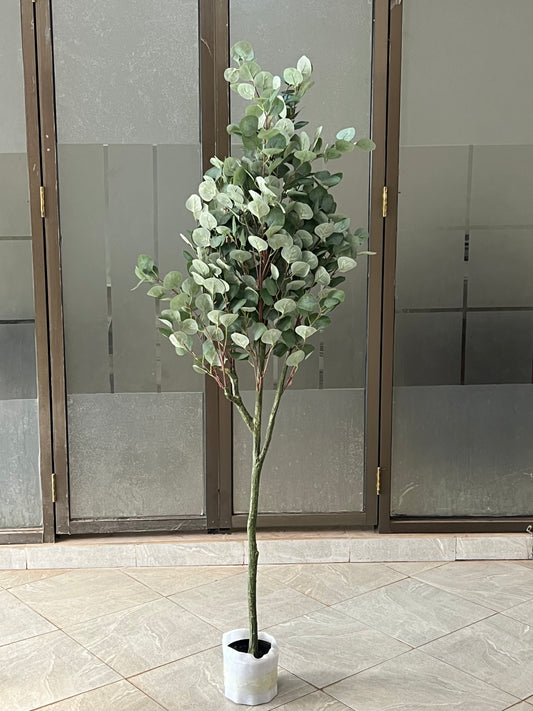 Green Eucalyptus 180cm
