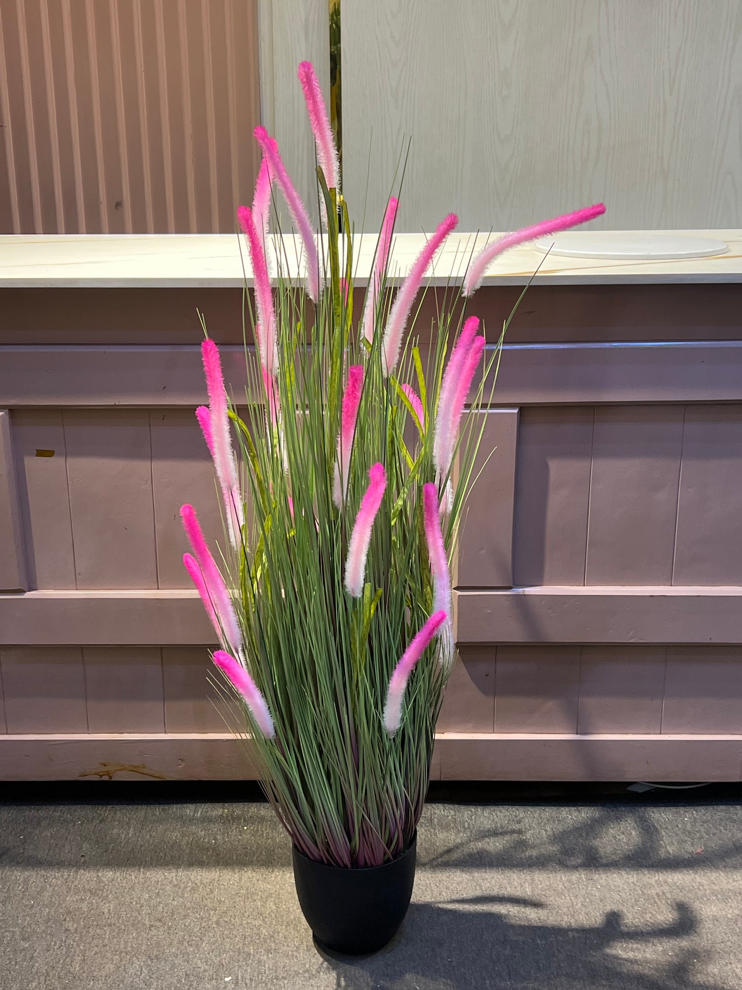 Foxtail pink