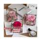 Rose Treasure Infinity Rose