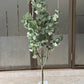 Green eucalyptus 120cm