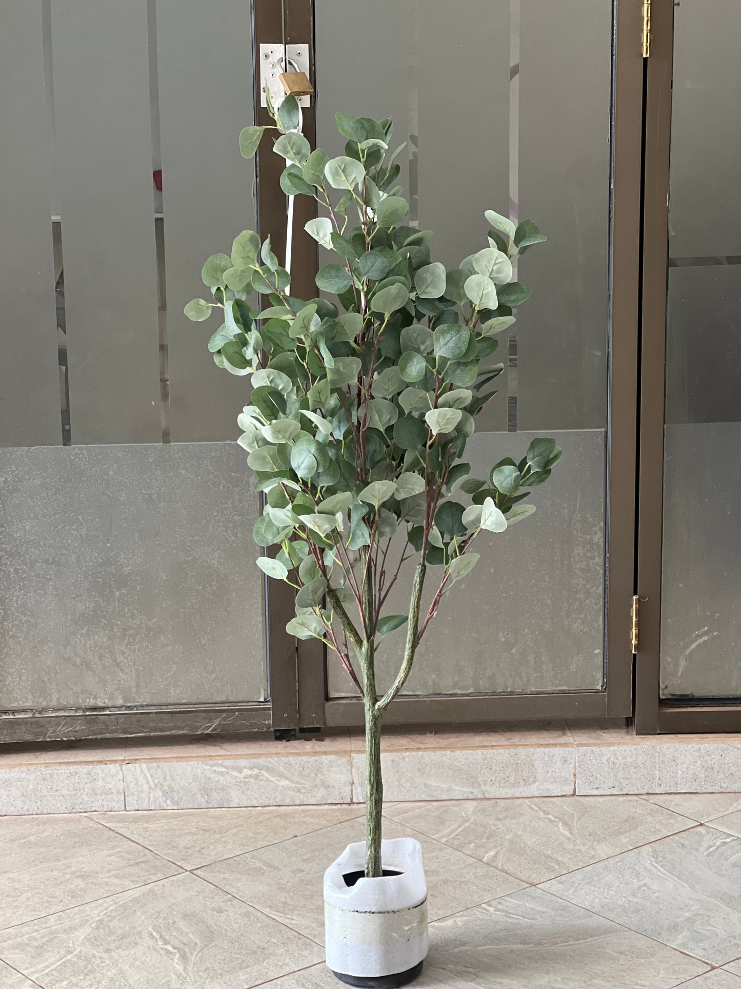Green eucalyptus 120cm