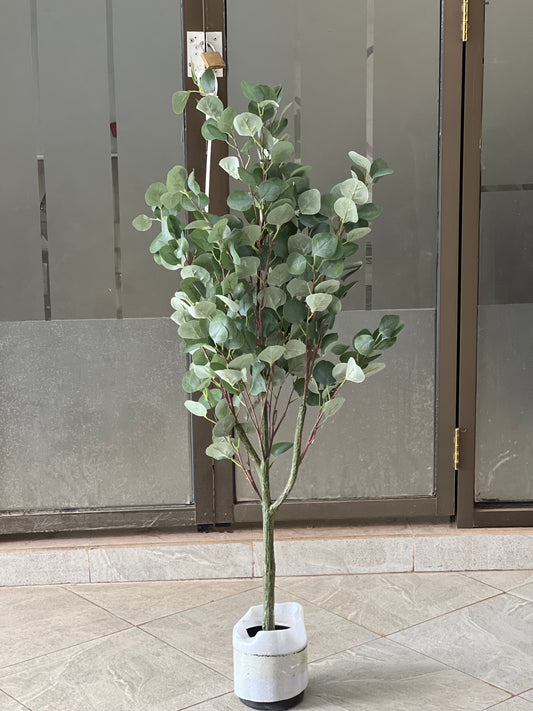 Green eucalyptus 120cm